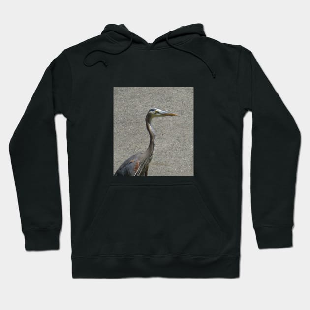 Driveway heron Hoodie by AmyKalish